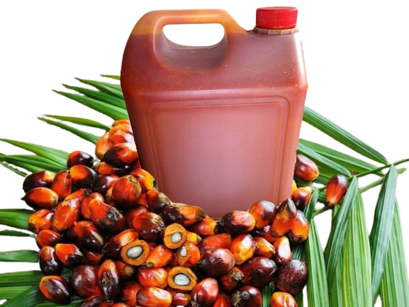 Palm Oil