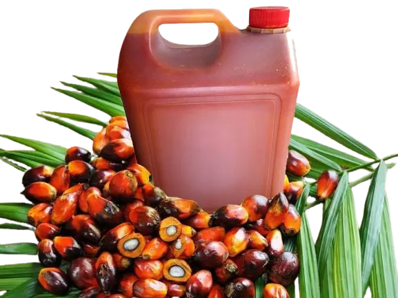 Palm Oil